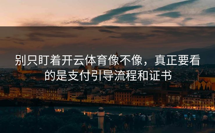 别只盯着开云体育像不像，真正要看的是支付引导流程和证书