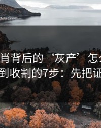 十二生肖背后的‘灰产’怎么运作：从引流到收割的7步：先把证据留好